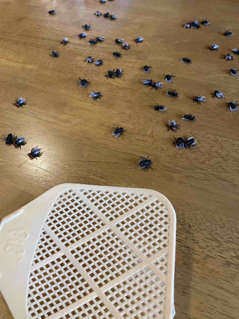 Fake flies used in a fly swatter game